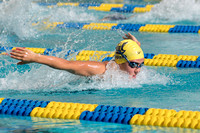 Cal vs UCLA Swim & Dive